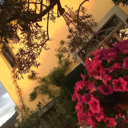 Il Sole Del Sodo * Cortona