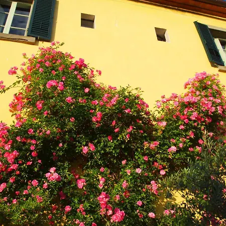 Il Sole Del Sodo Kır Evi