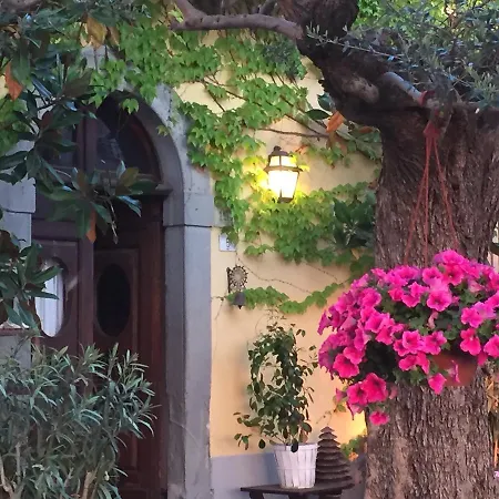 Kır Evi Il Sole Del Sodo Cortona