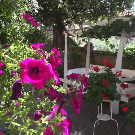 Il Sole Del Sodo Kır Evi Cortona