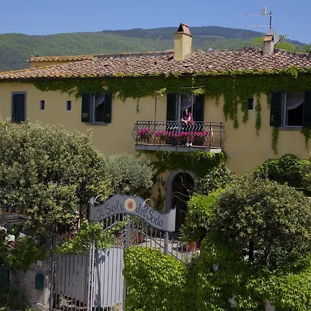 Il Sole Del Sodo Cortona